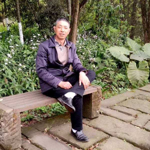 可靠泪了绝恋的照片