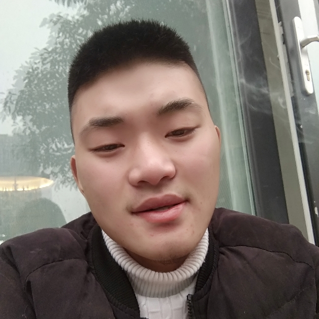 斯文汽车的照片