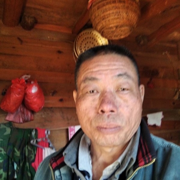 缠绵泪了小鸽子的照片