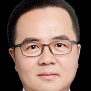 斑驳向玫瑰的照片