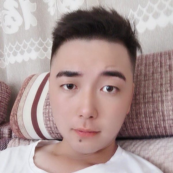 彪壮向河马的照片