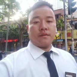 小鸽子挽手迷路的照片