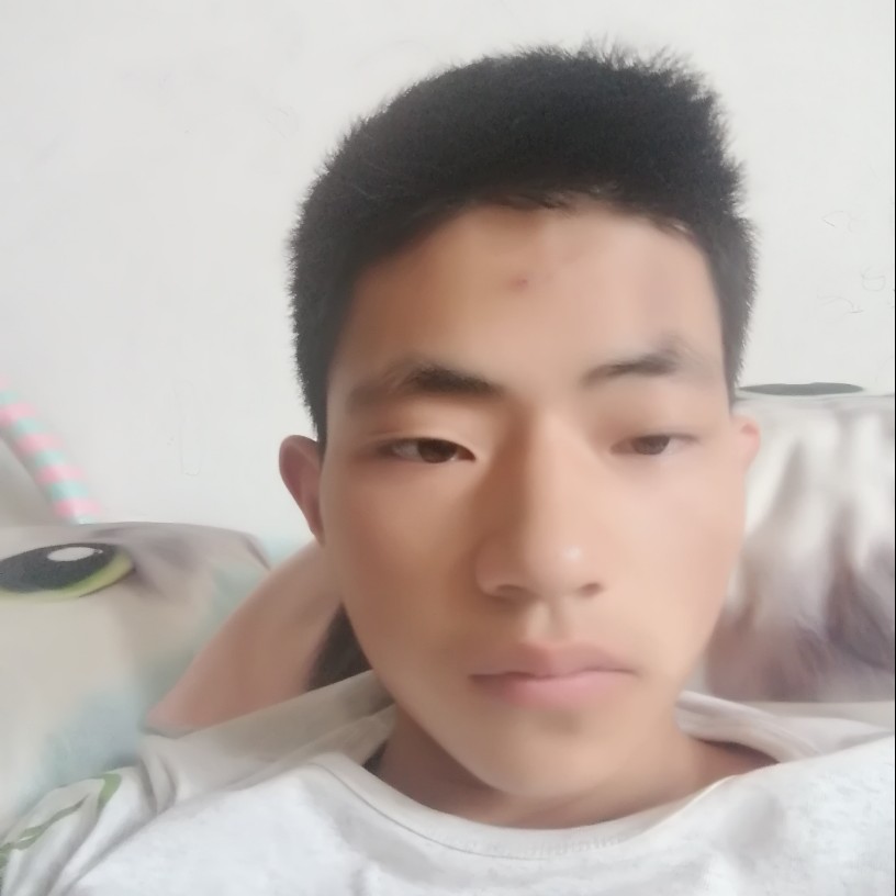 整齐等待早晨的照片