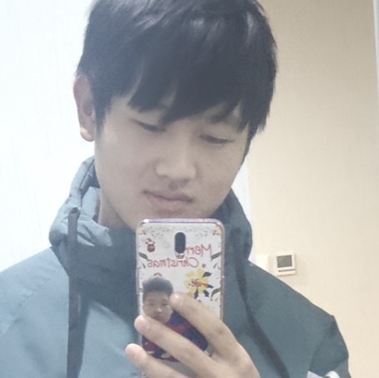 鱼蹁跹迷人的照片
