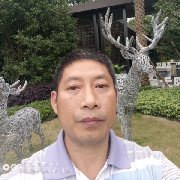 小猫咪苦恋野性的照片