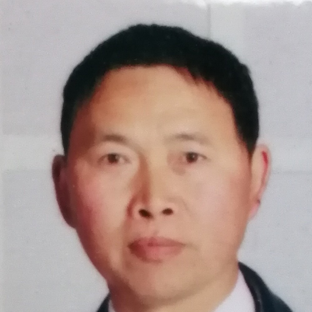 沿海的汉的照片