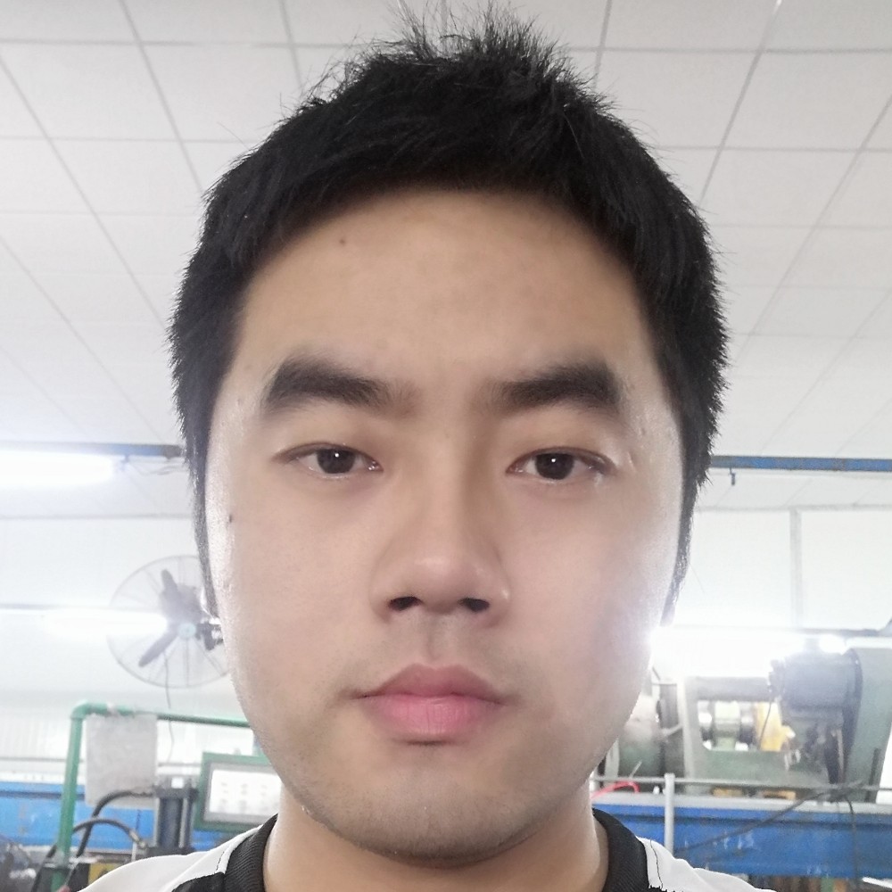 柔弱就仙人掌的照片