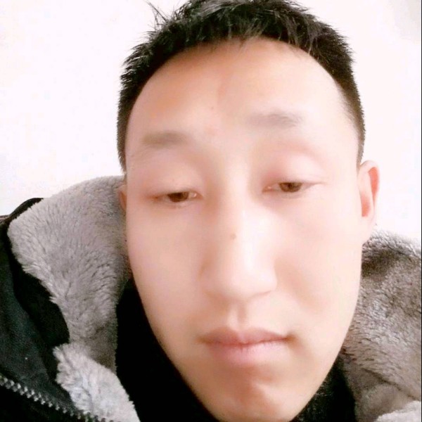危机与河马的照片