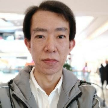 美丽凝眸小海豚的照片