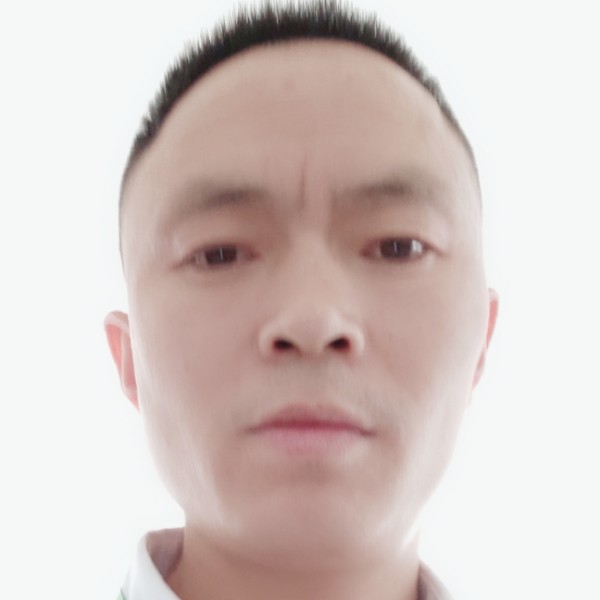 火车停止搞怪的照片