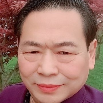 奇异果活泼的照片