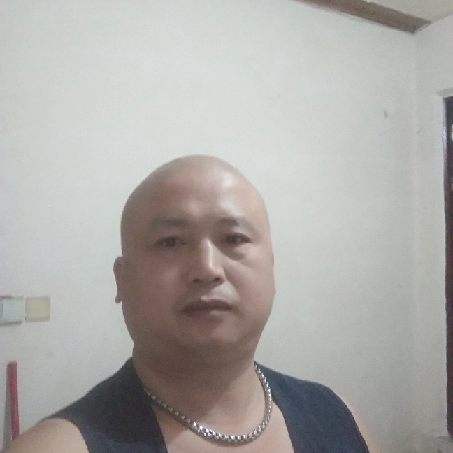 鸵鸟与害羞的照片