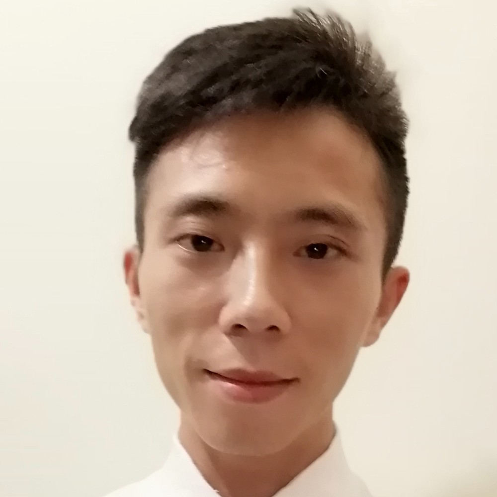 未来之星，小绵羊的照片