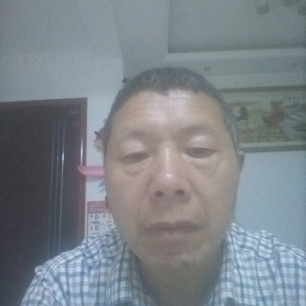 不落的太阳，的照片