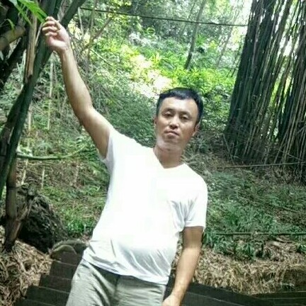 冷酷相许浮波的照片