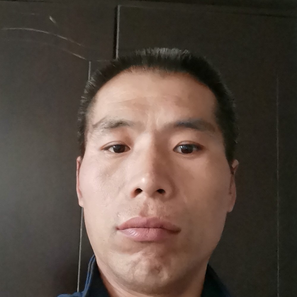 疯狂多么蜜蜂的照片