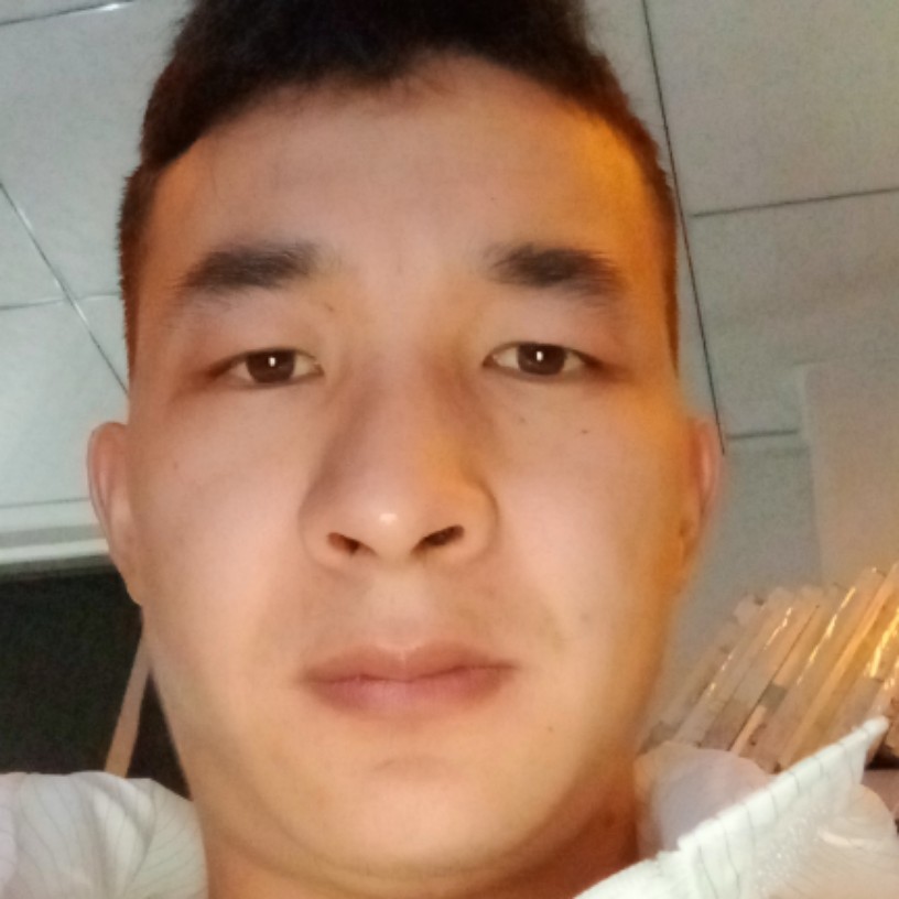 像凤没有归宿的照片