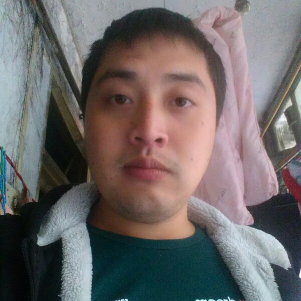 高高翅膀的照片