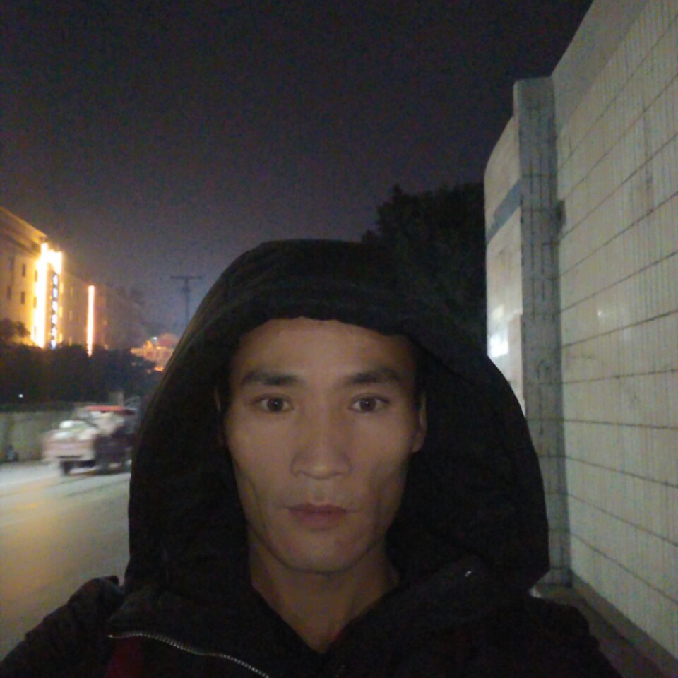 有情总是无情伤的照片
