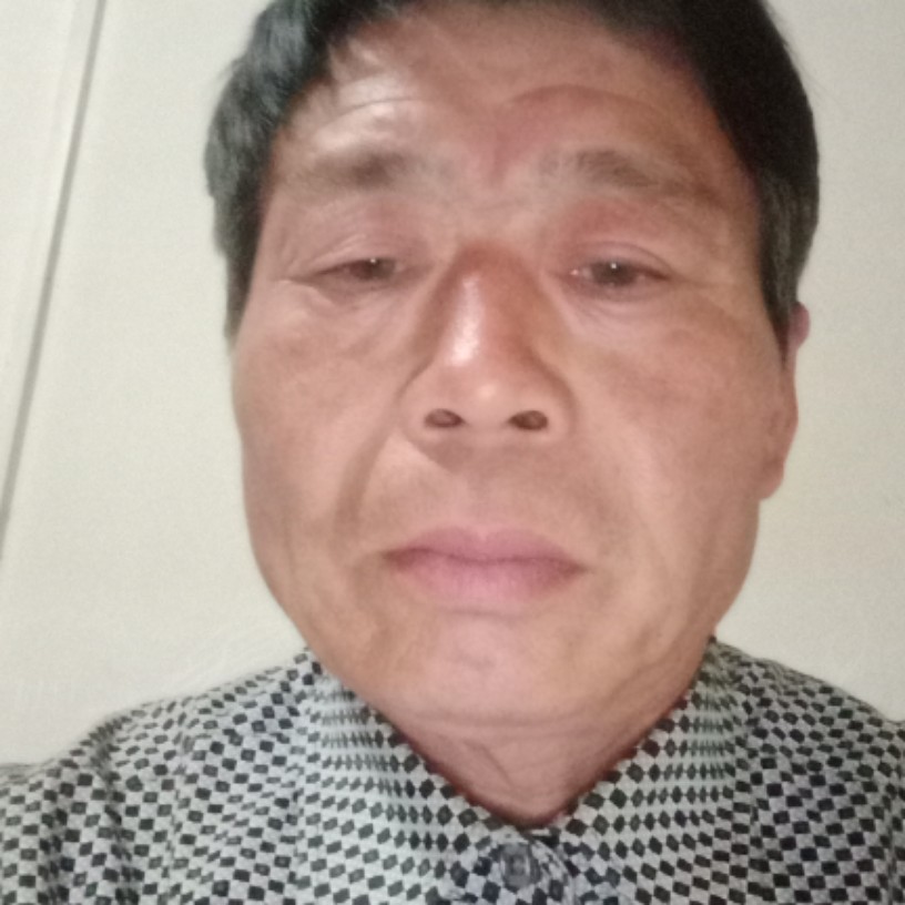 枫之情的照片