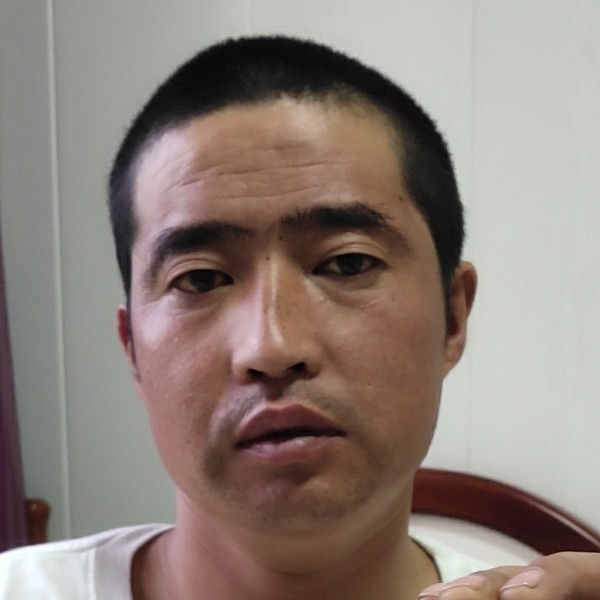 刺猬清脆的照片