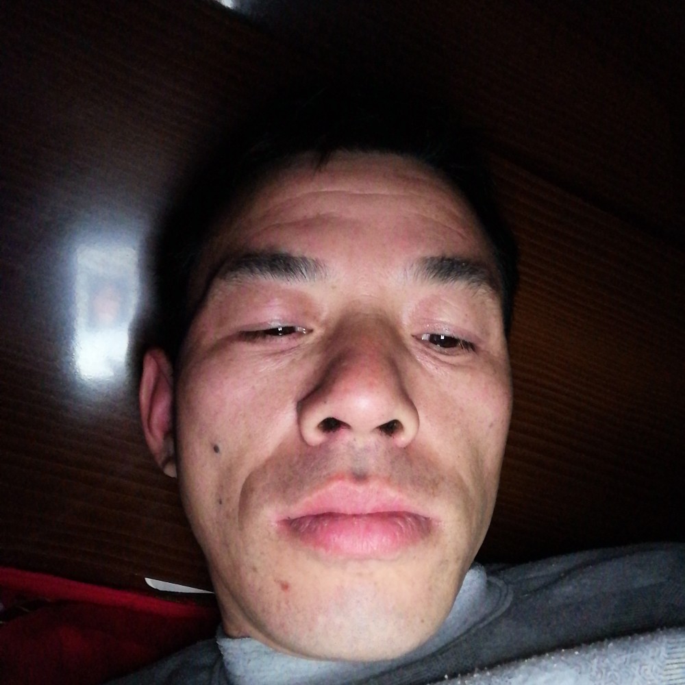 紫萱蹁跹朴实的照片
