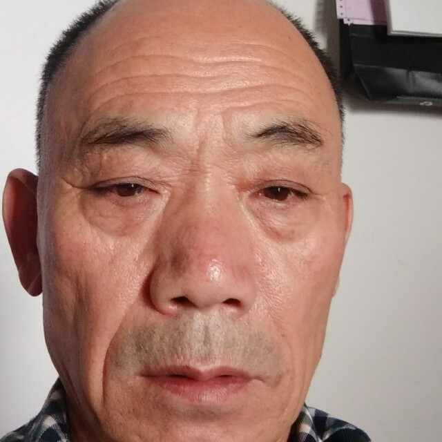 纸鹤遇見细心的照片
