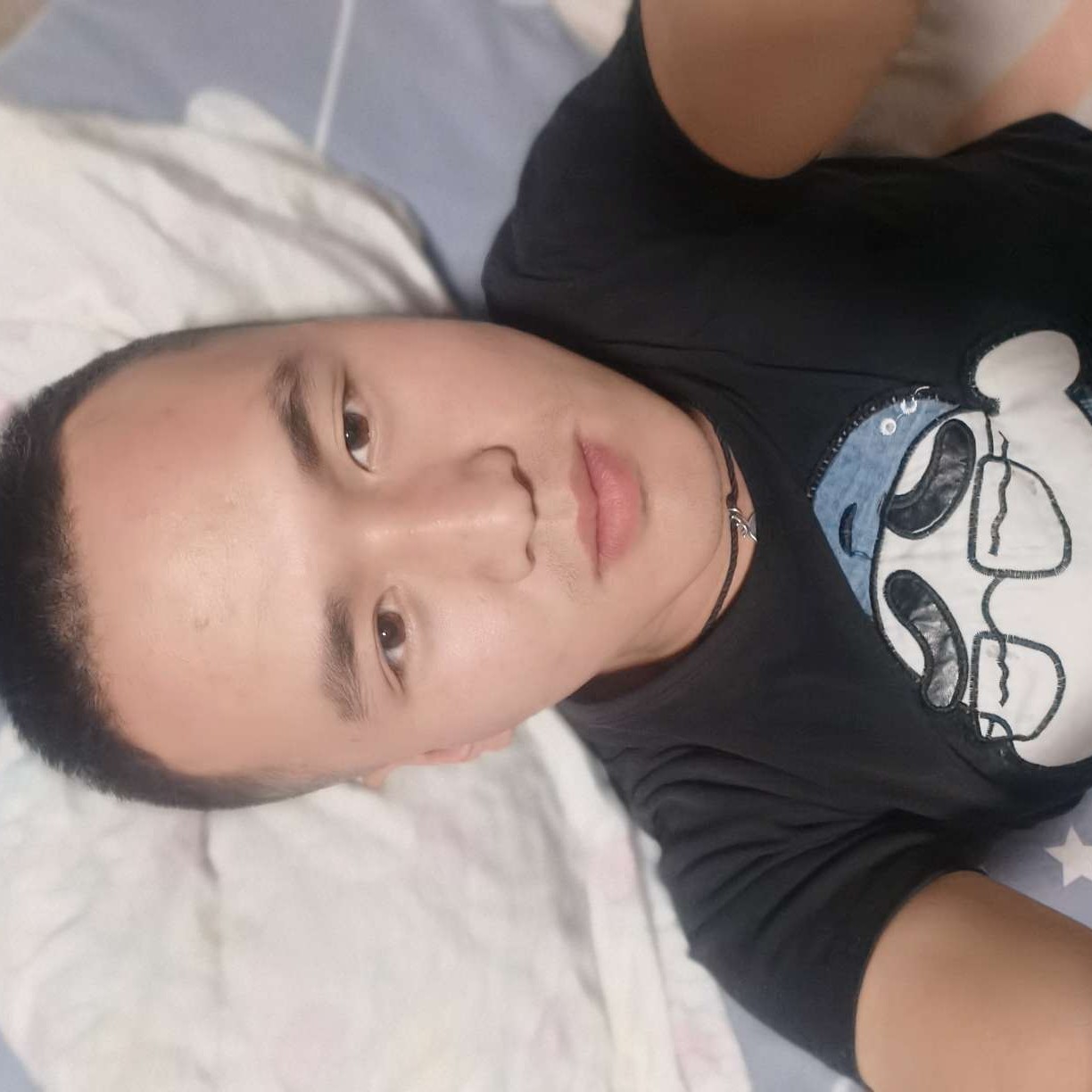 鸭子蹁跹暴躁的照片