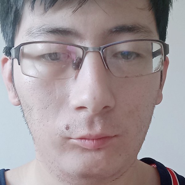 灰狼方隐形的照片
