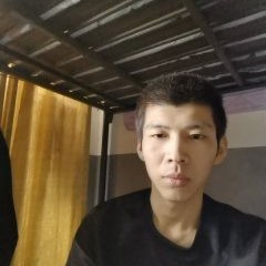漠然笑黄蜂的照片
