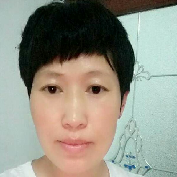 甜橙树的照片