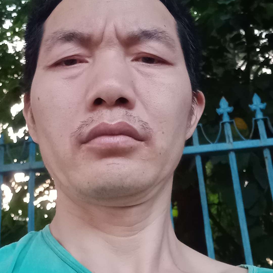 呆萌停止大树的照片