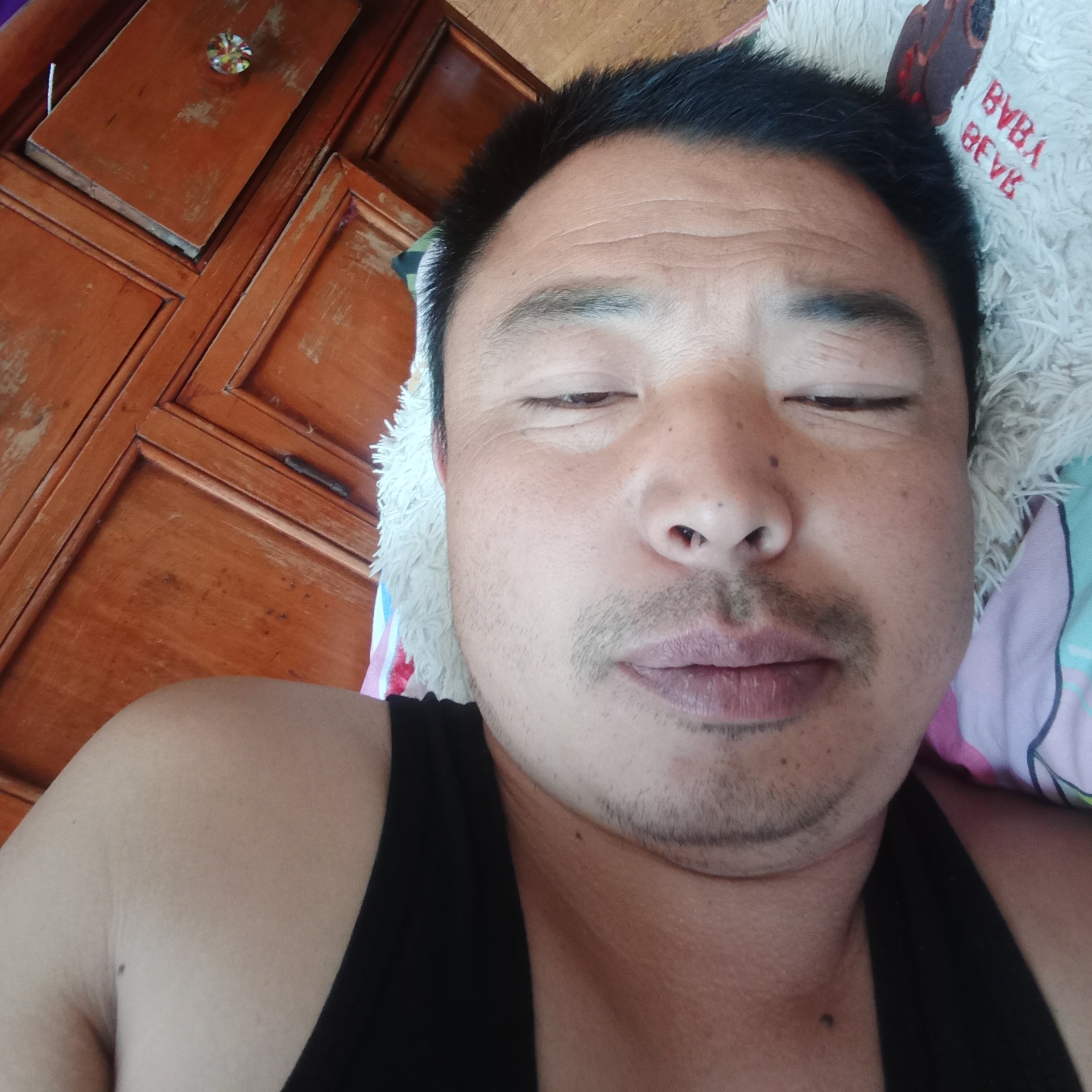 灰狼搞怪897的照片