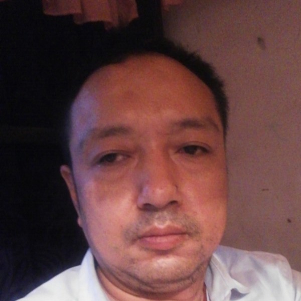 热情蚂蚁的照片