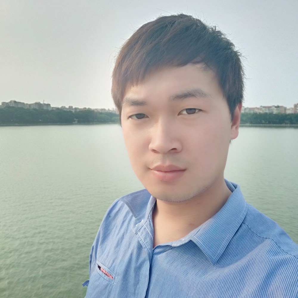 蜜蜂阳光的照片