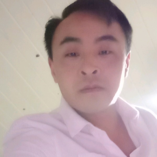 机灵扯鼠标的照片