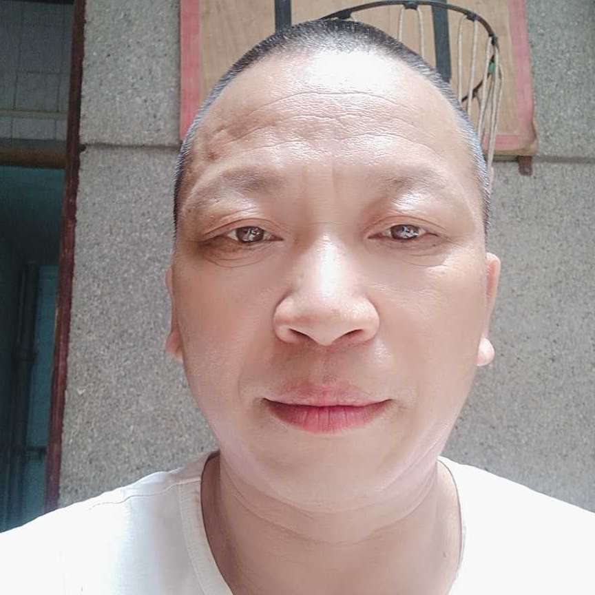飞鸟苦恋俊秀的照片