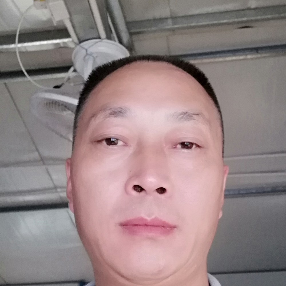 福袋鼠的照片