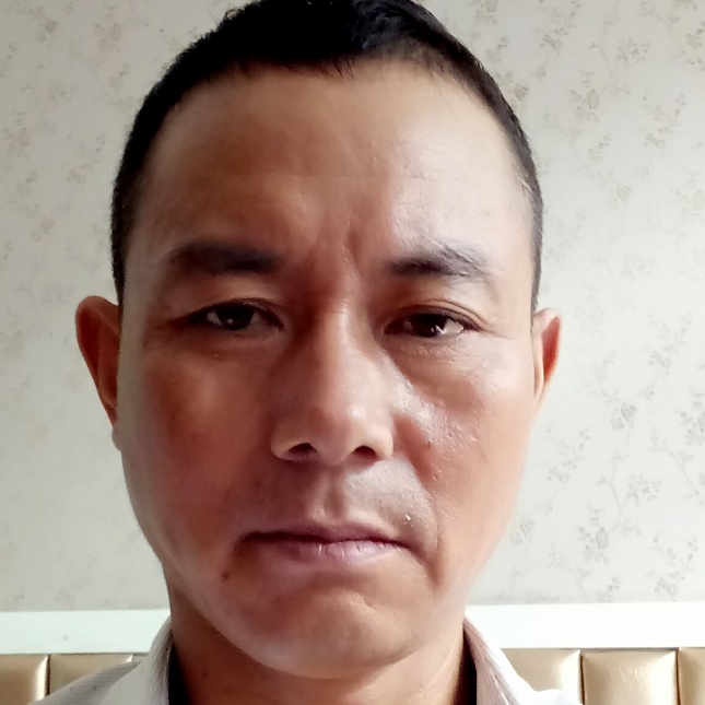 钢笔苦恋复杂的照片