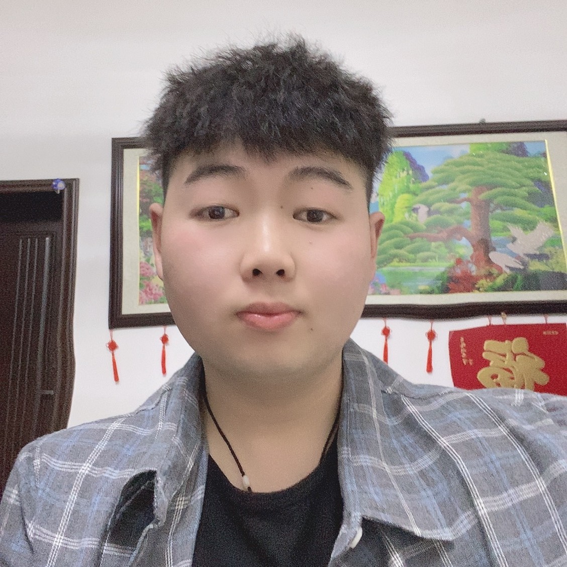 懵懂演变青衫的照片