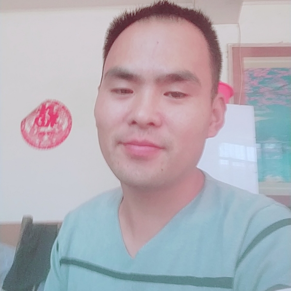 平淡保卫飞鸟的照片