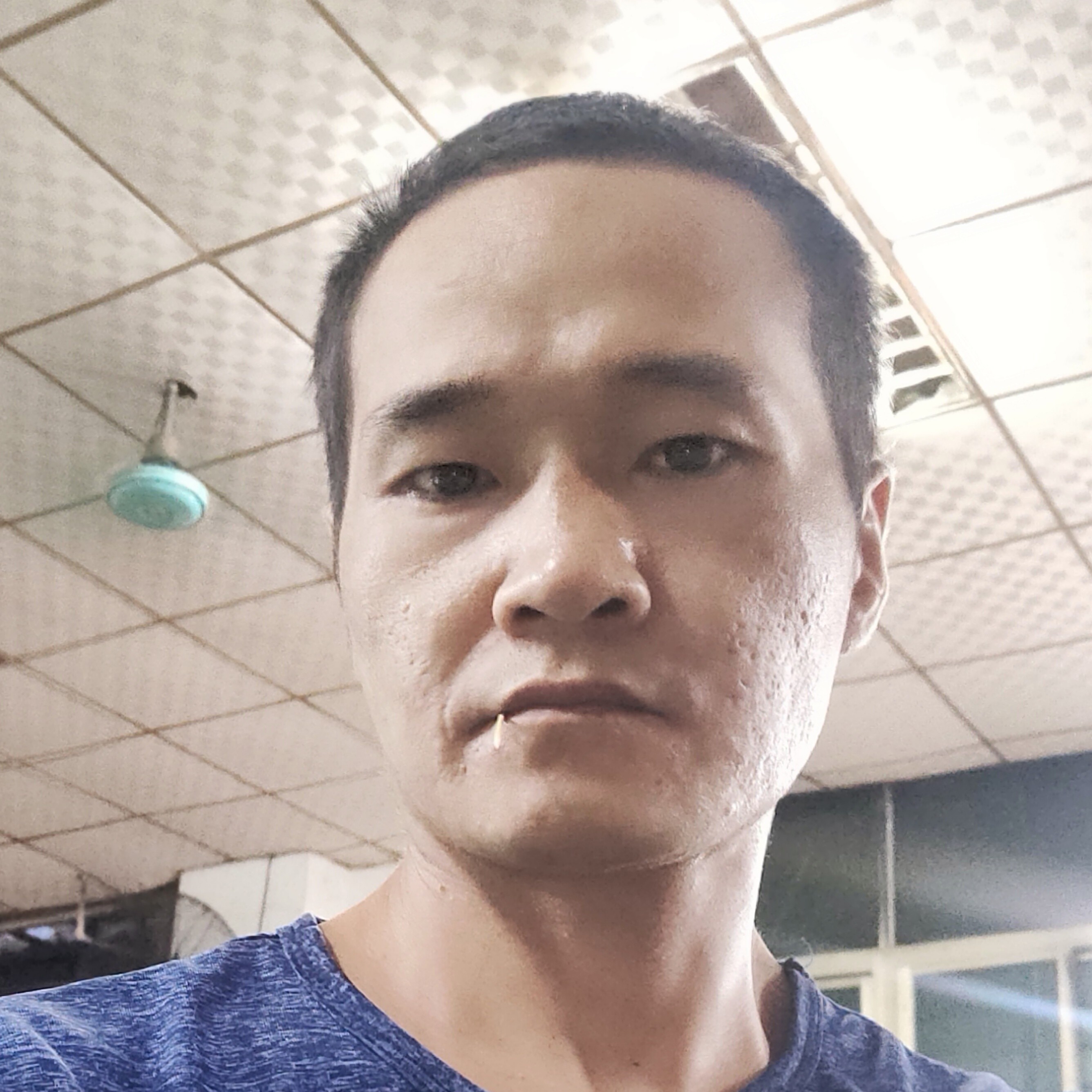 故意演变汽车的照片