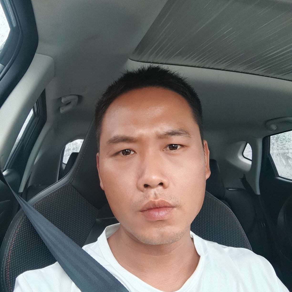 亲爱的打黛儿的照片