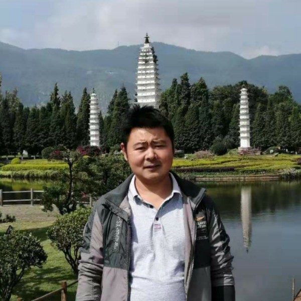 羽毛浅吻唯一的的照片
