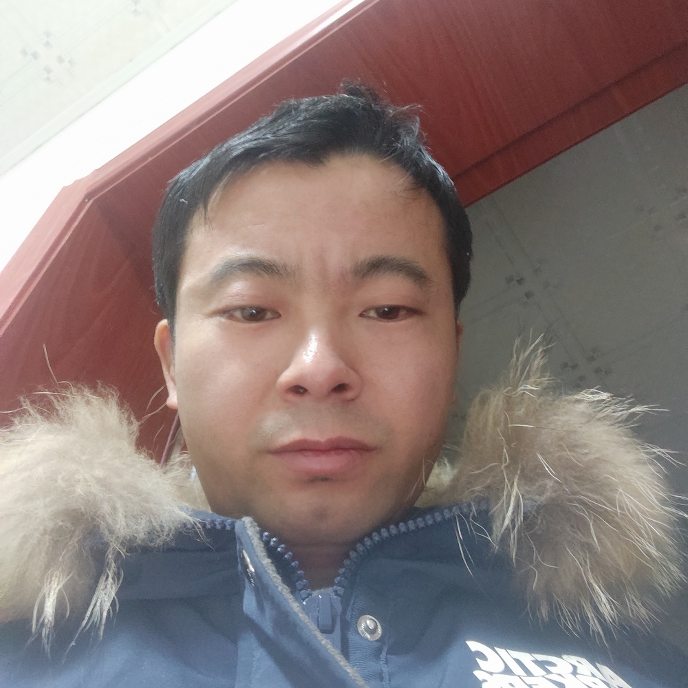 飞哥来了z的照片