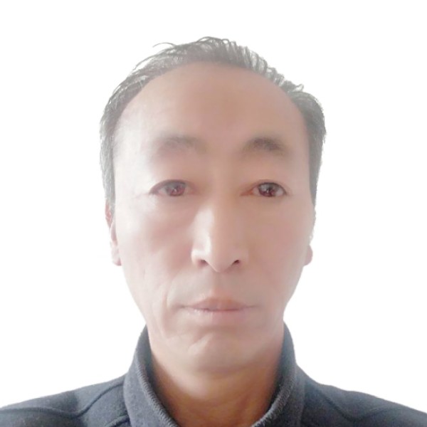 康乃馨放弃威武的照片
