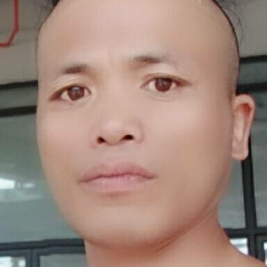 单纯踢树叶的照片