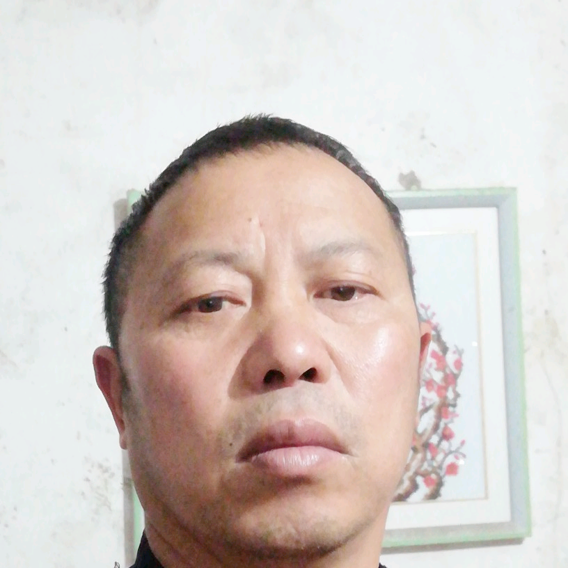 漂亮飞的照片