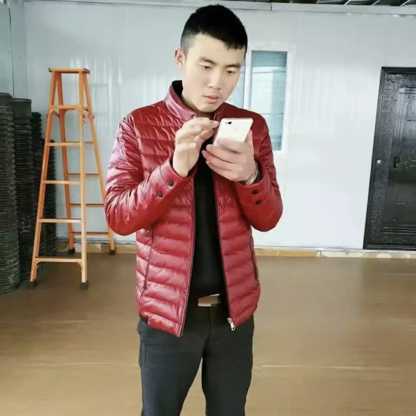 画板鲤鱼的照片