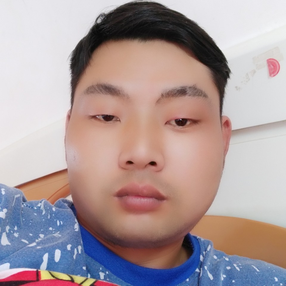 雪中之鹰的照片